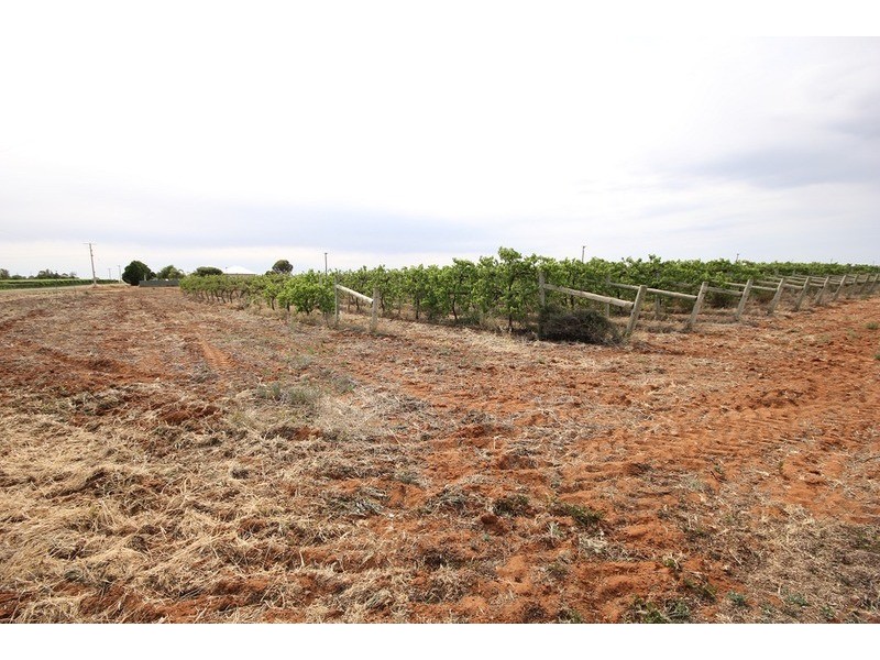 Lot 2 Mellis  Street, Red Cliffs VIC 3496