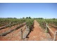 Lot 2 Mellis  Street, Red Cliffs VIC 3496