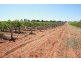 Lot 2 Mellis  Street, Red Cliffs VIC 3496