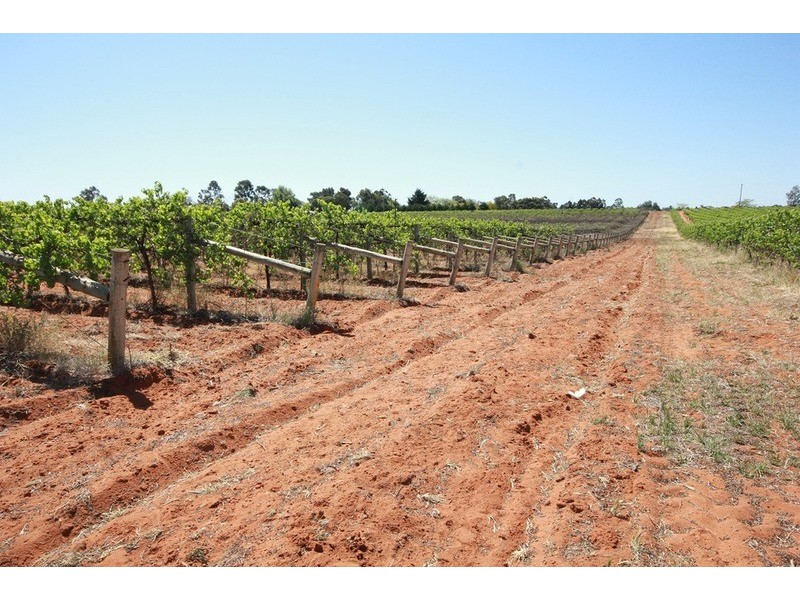 Lot 2 Mellis  Street, Red Cliffs VIC 3496