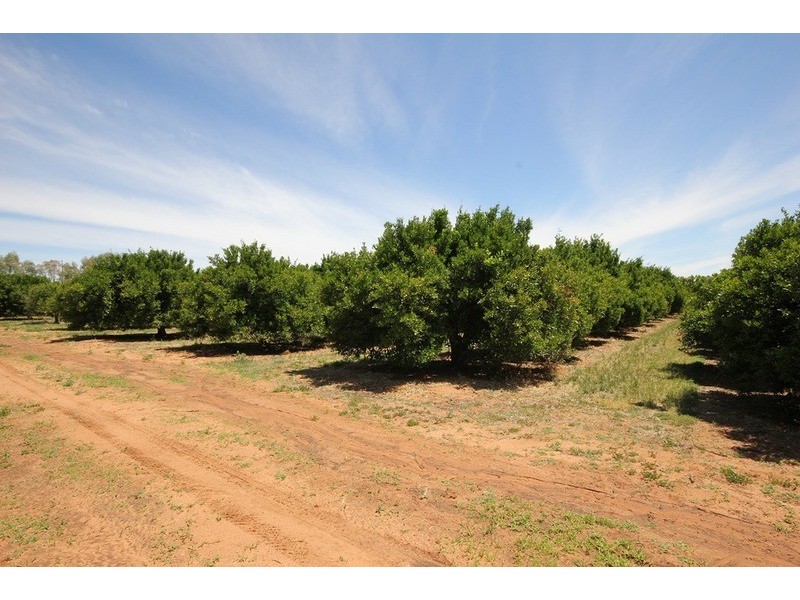 105 Iraak  Road, Iraak VIC 3494