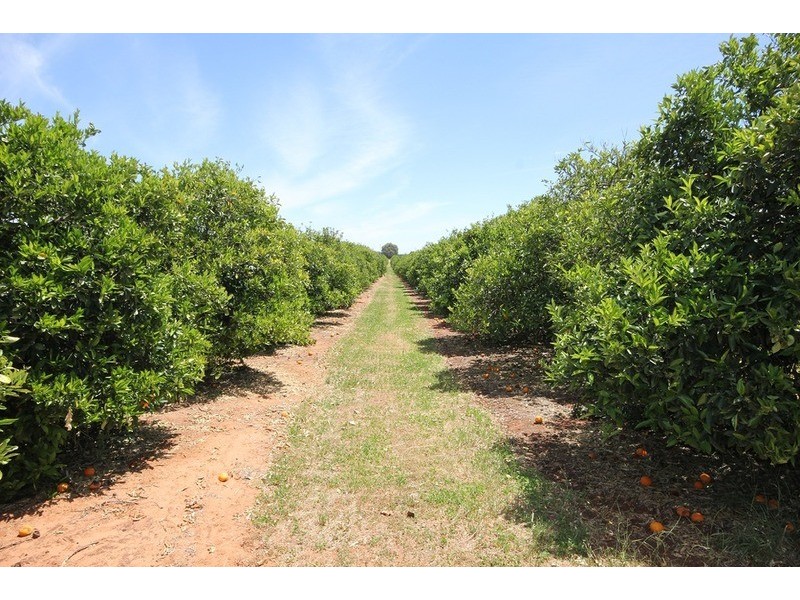 105 Iraak  Road, Iraak VIC 3494