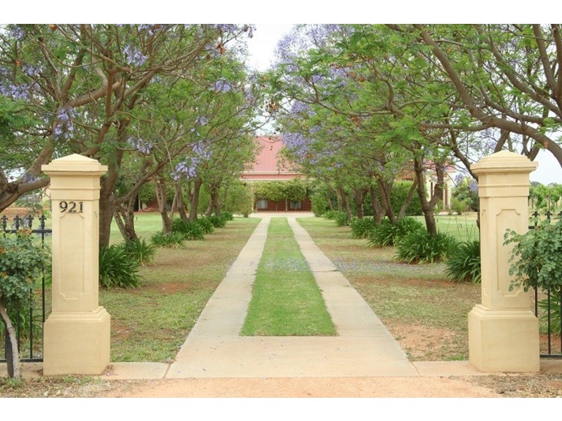 921 Cureton  Avenue, Irymple VIC 3498