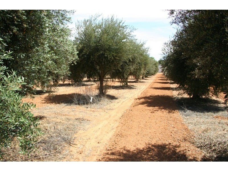 1071-1091 Cowra Avenue, Mildura VIC 3500