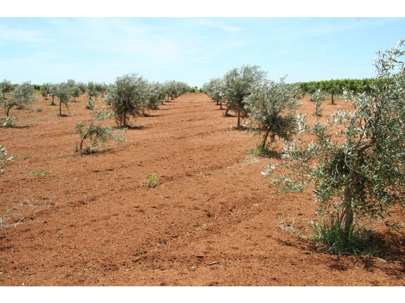 1071-1091 Cowra Avenue, Mildura VIC 3500