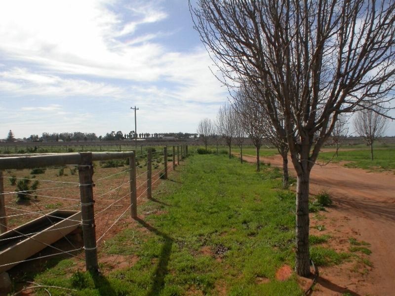 328 Cowanna Avenue, Merbein VIC 3505