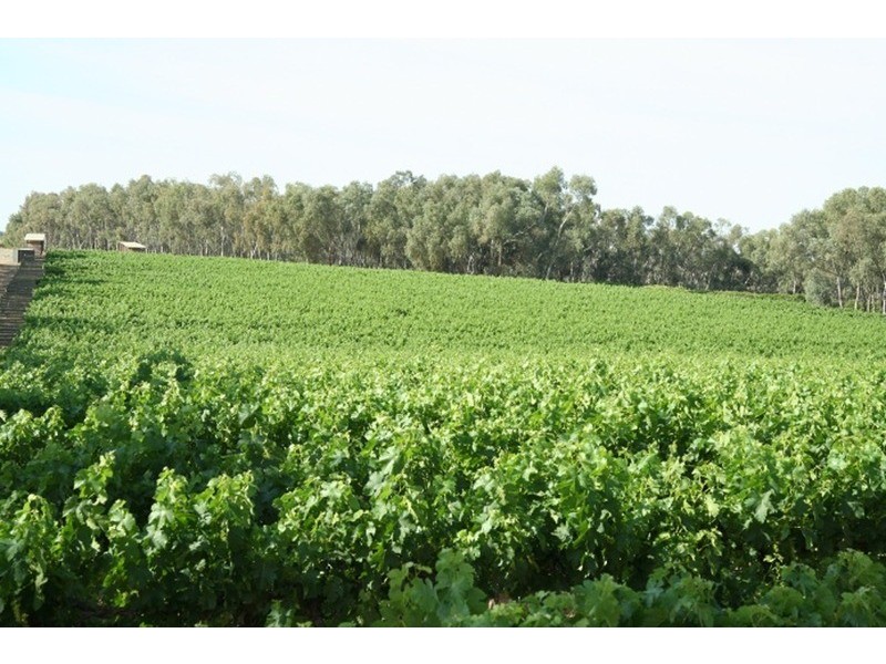 Lots 1 & 2 Cupper Road, Yelta VIC 3505