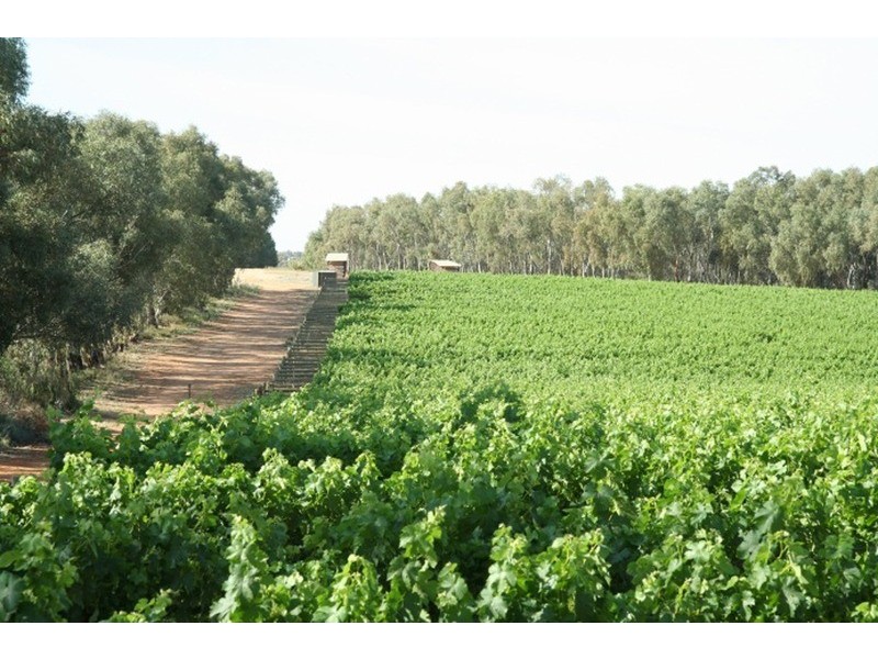 Lots 1 & 2 Cupper Road, Yelta VIC 3505