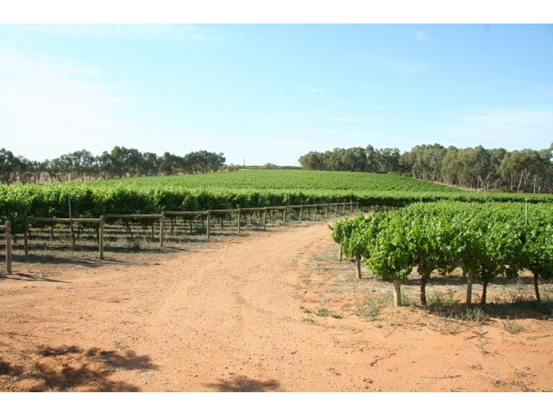 Lots 1 & 2 Cupper Road, Yelta VIC 3505