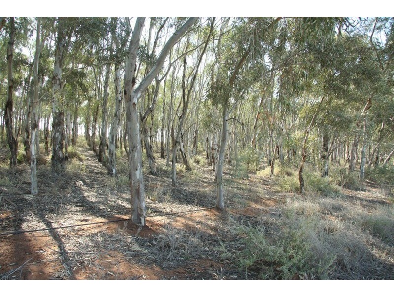 Lots 1 & 2 Cupper Road, Yelta VIC 3505