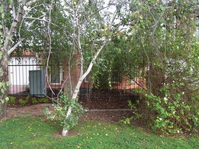 25 Marsden Drive, Mildura VIC 3500