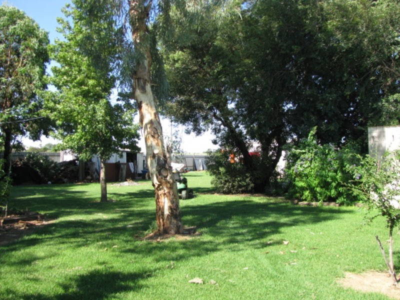 290 Dairtnunk  Avenue, Mildura VIC 3500