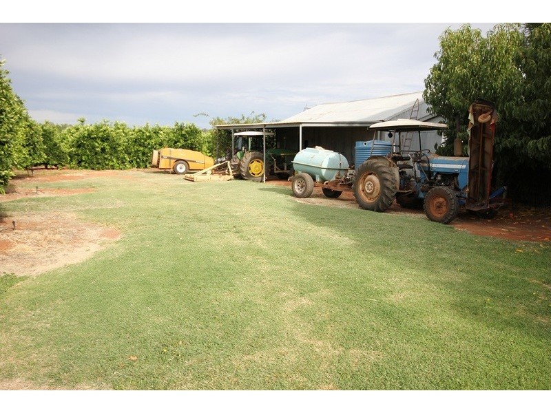 442 Reserve  Road, Dareton NSW 2717