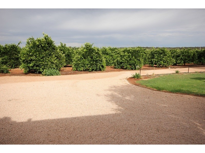 442 Reserve  Road, Dareton NSW 2717