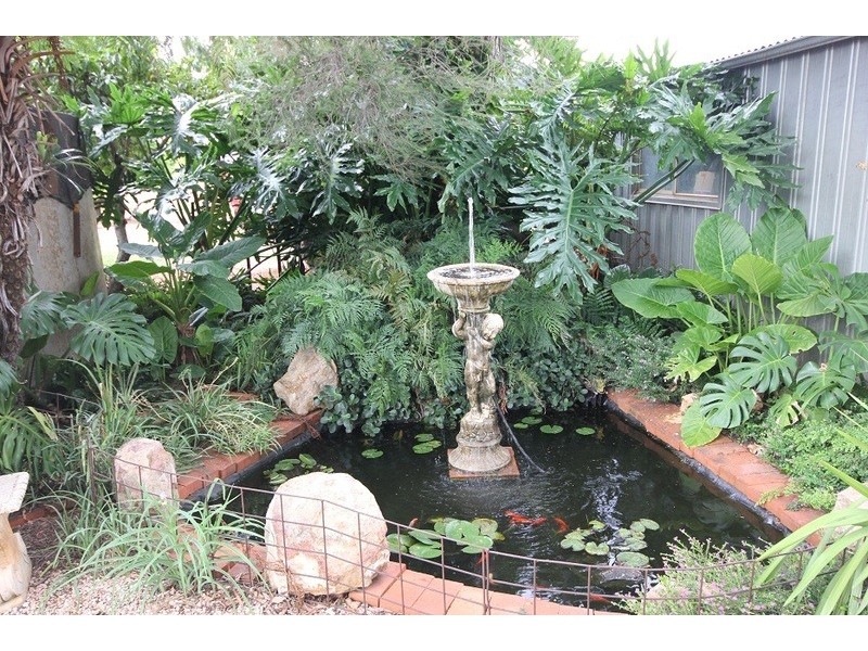 442 Reserve  Road, Dareton NSW 2717