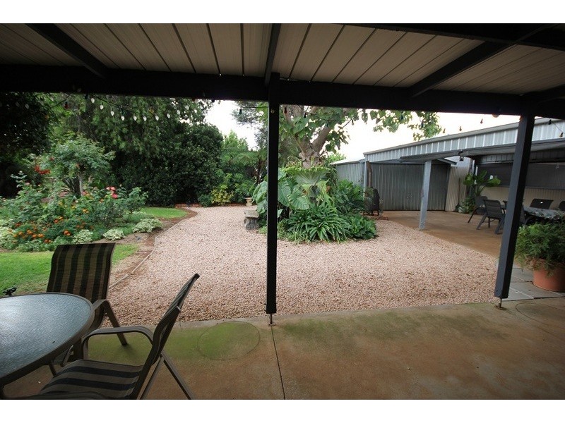 442 Reserve  Road, Dareton NSW 2717