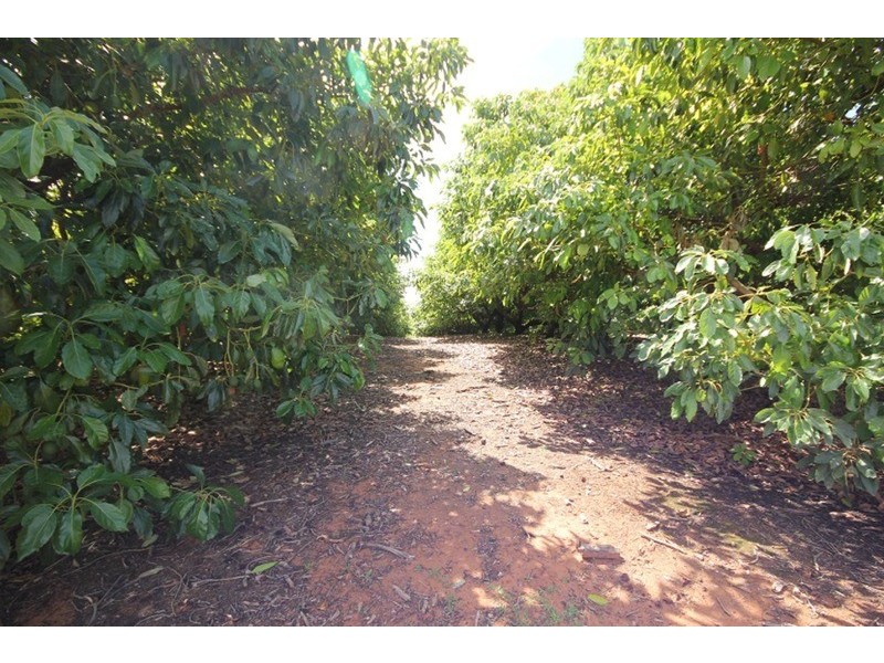 Murray Darling Citrus, Mildura VIC 3500