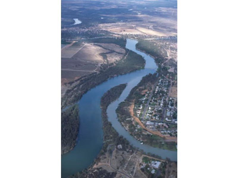 Murray Darling Citrus, Mildura VIC 3500