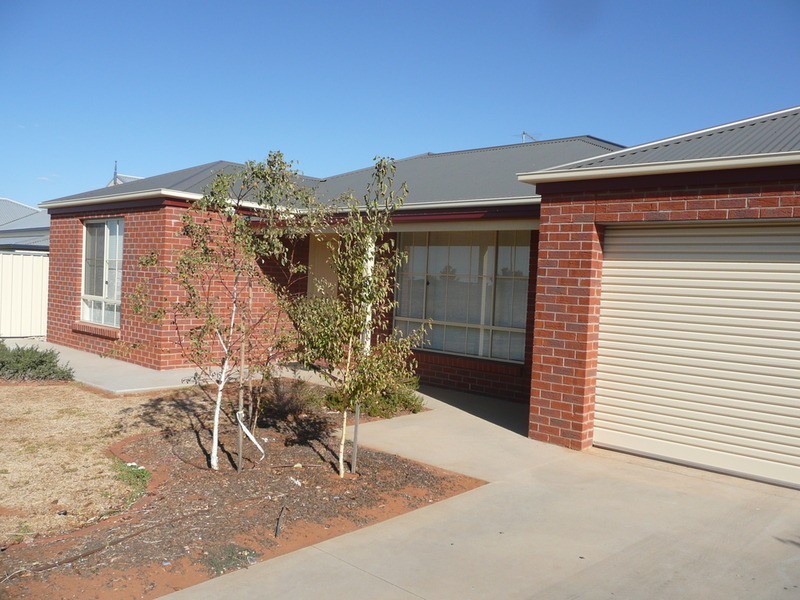 82 Summer Drive, Gol Gol NSW 2738