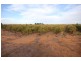 Lot 2 Lowan  Avenue, Red Cliffs VIC 3496