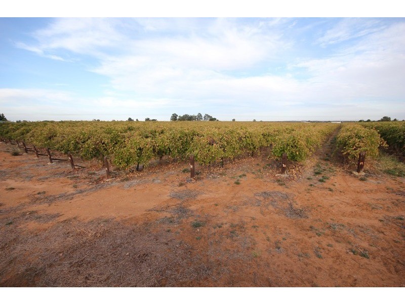 Lot 2 Lowan  Avenue, Red Cliffs VIC 3496