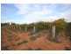 Lot 2 Lowan  Avenue, Red Cliffs VIC 3496