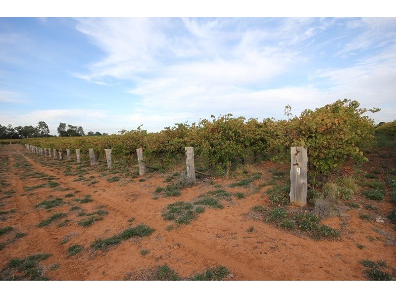 Lot 2 Lowan  Avenue, Red Cliffs VIC 3496
