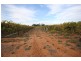 Lot 2 Lowan  Avenue, Red Cliffs VIC 3496