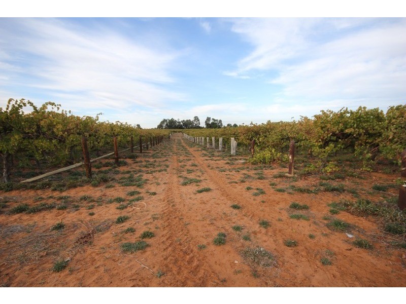Lot 2 Lowan  Avenue, Red Cliffs VIC 3496