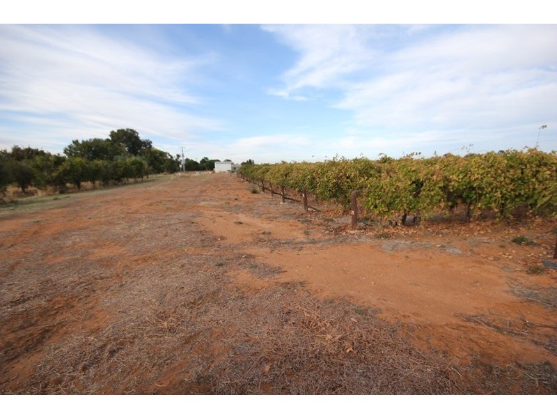 Lot 2 Lowan  Avenue, Red Cliffs VIC 3496