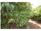 Murray Darling  Citrus, Mildura VIC 3500