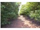 Murray Darling  Citrus, Mildura VIC 3500