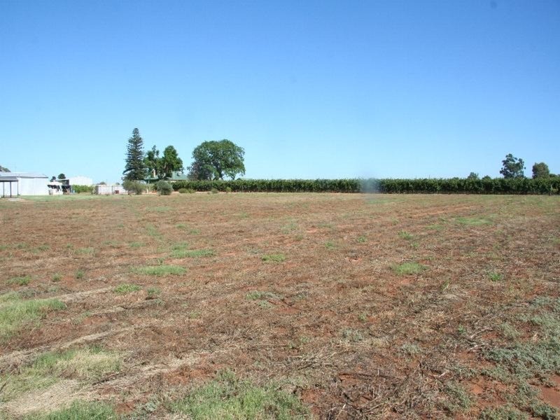 216 Cocklin Avenue, Red Cliffs VIC 3496