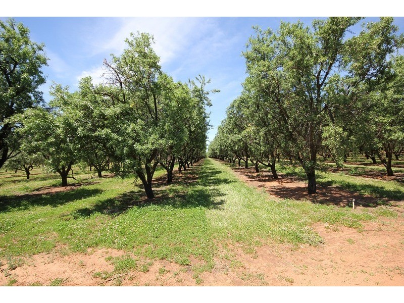 105 Iraak Road, Iraak VIC 3494