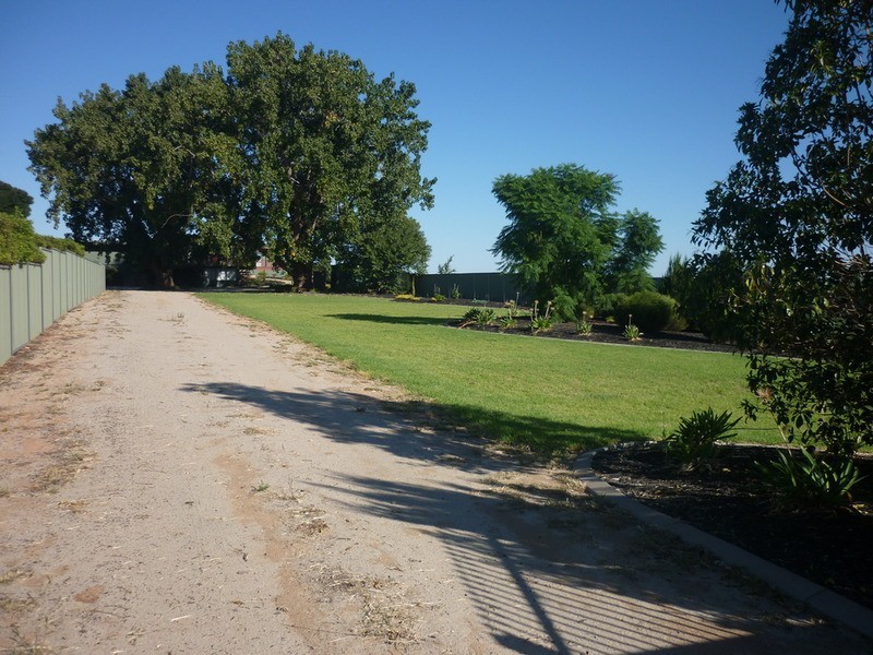 79 Melaleuca Street, Buronga NSW 2739