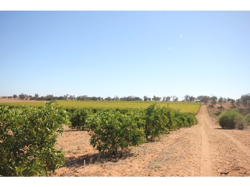 16B Drovers Drive, Gol Gol NSW 2738