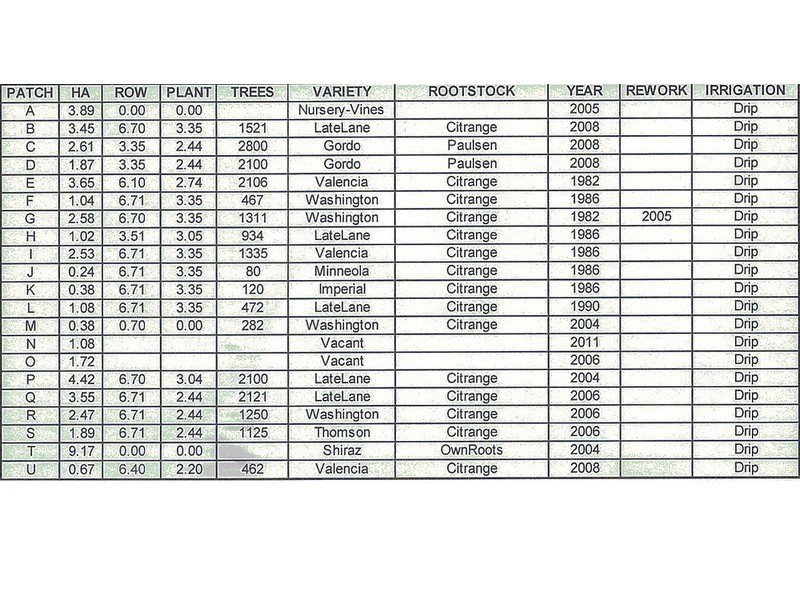 1744 Lower Darling Road, Via, Wentworth NSW 2648