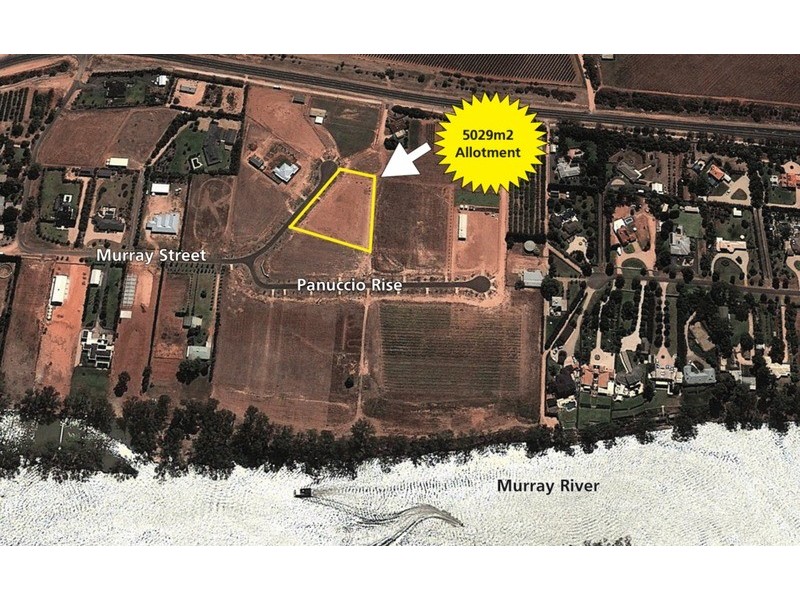 20 Murray Street, Gol Gol NSW 2738