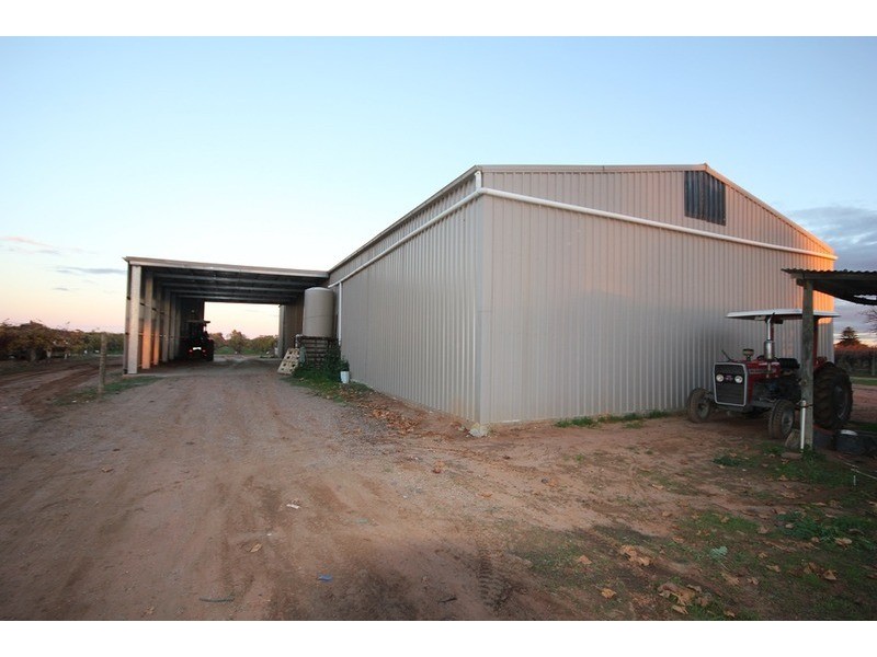 Lot 3 Dewry Avenue, Irymple VIC 3498