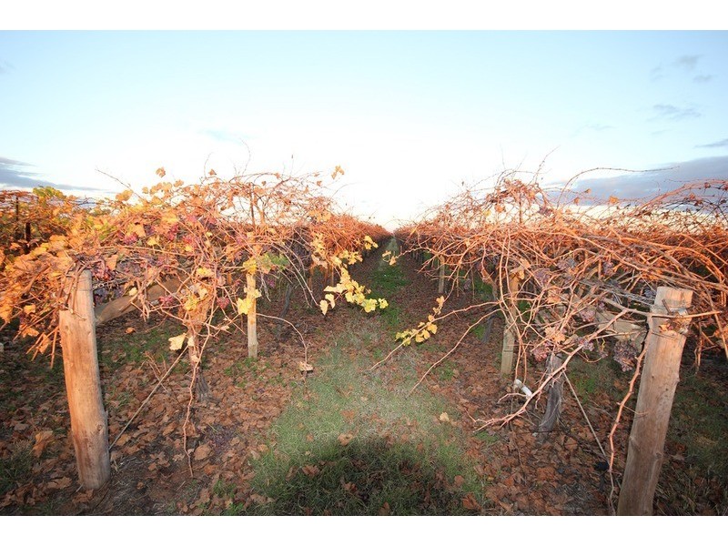 Lot 3 Dewry Avenue, Irymple VIC 3498