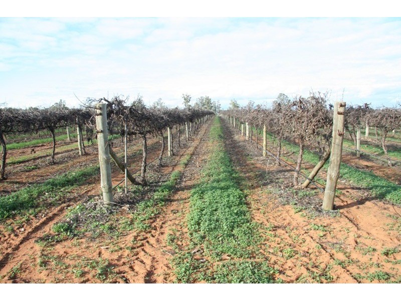 30 Hards Lane, Iraak VIC 3494