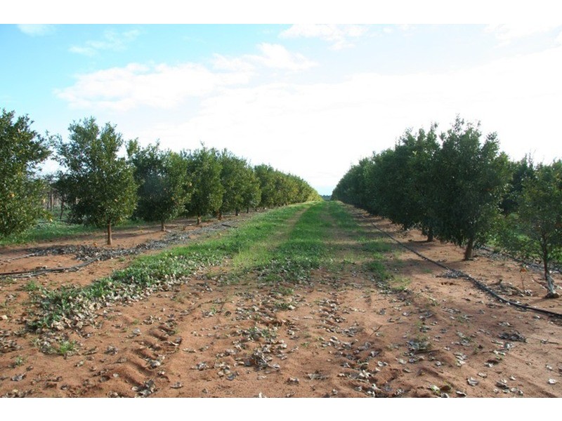 30 Hards Lane, Iraak VIC 3494