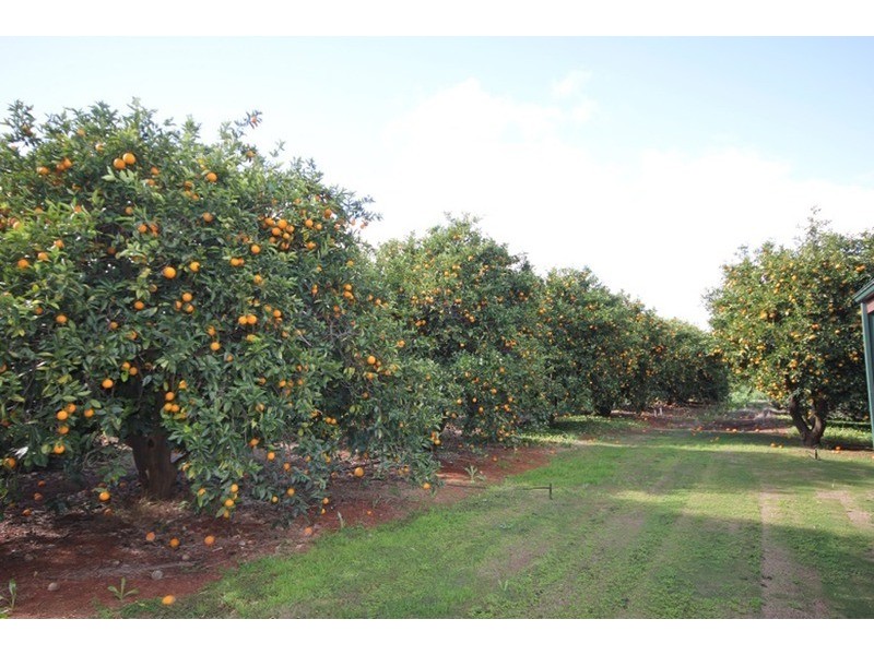 359 Cowanna  Avenue, Merbein South VIC 3505