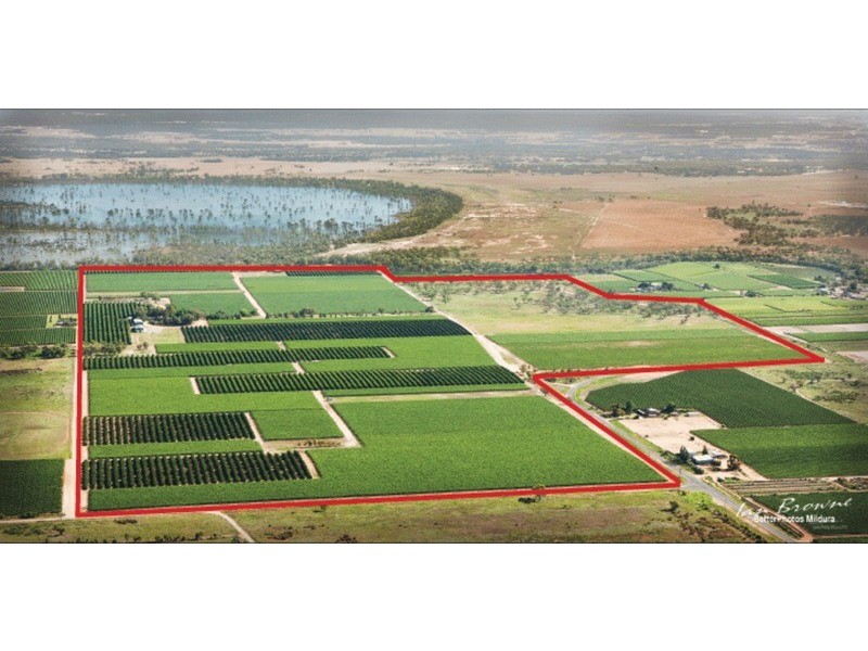 253 Gol Gol North Road, Gol Gol NSW 2738