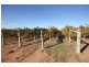 253 Gol Gol North Road, Gol Gol NSW 2738