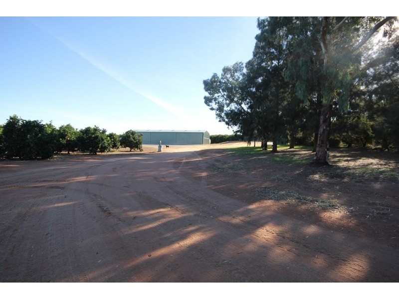 253 Gol Gol North Road, Gol Gol NSW 2738