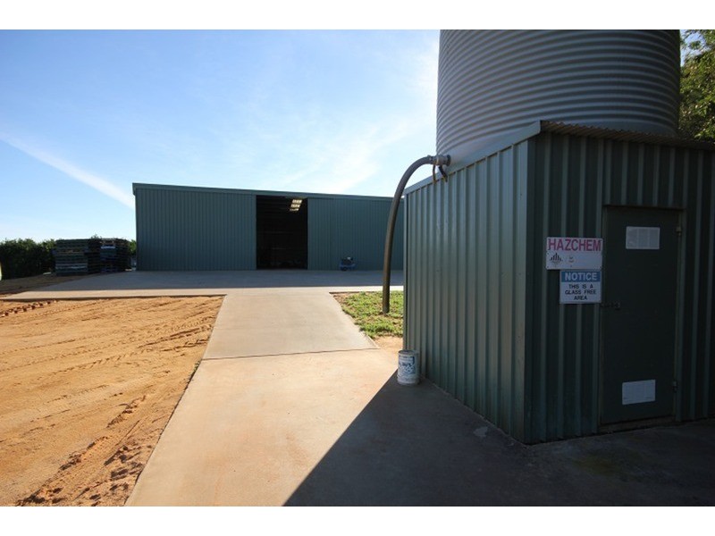 253 Gol Gol North Road, Gol Gol NSW 2738