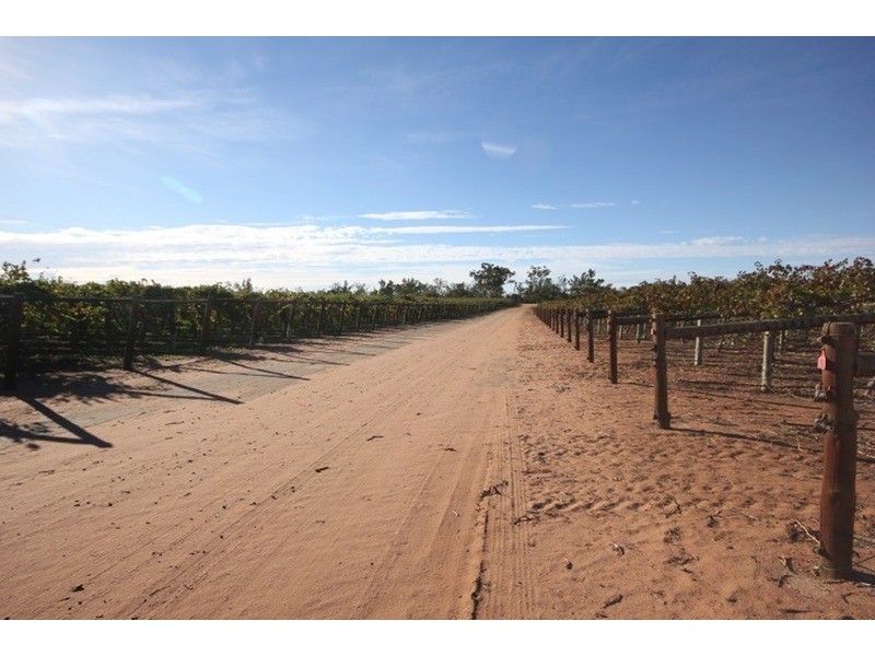 253 Gol Gol North Road, Gol Gol NSW 2738