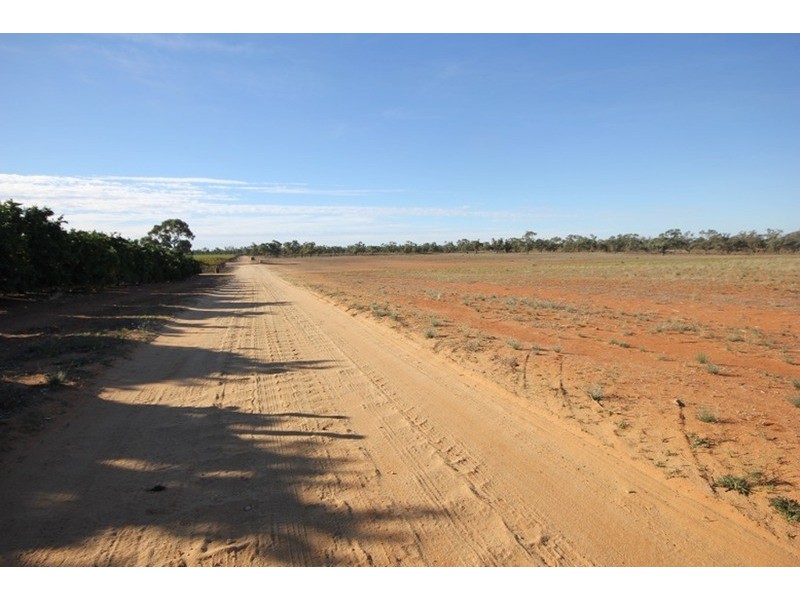 253 Gol Gol North Road, Gol Gol NSW 2738