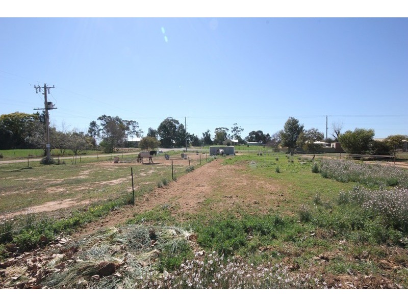 13 Creaton  Lane, Irymple VIC 3498
